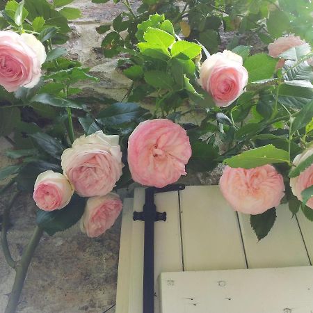 B&B Maison Coralie Sainte-Christine  외부 사진
