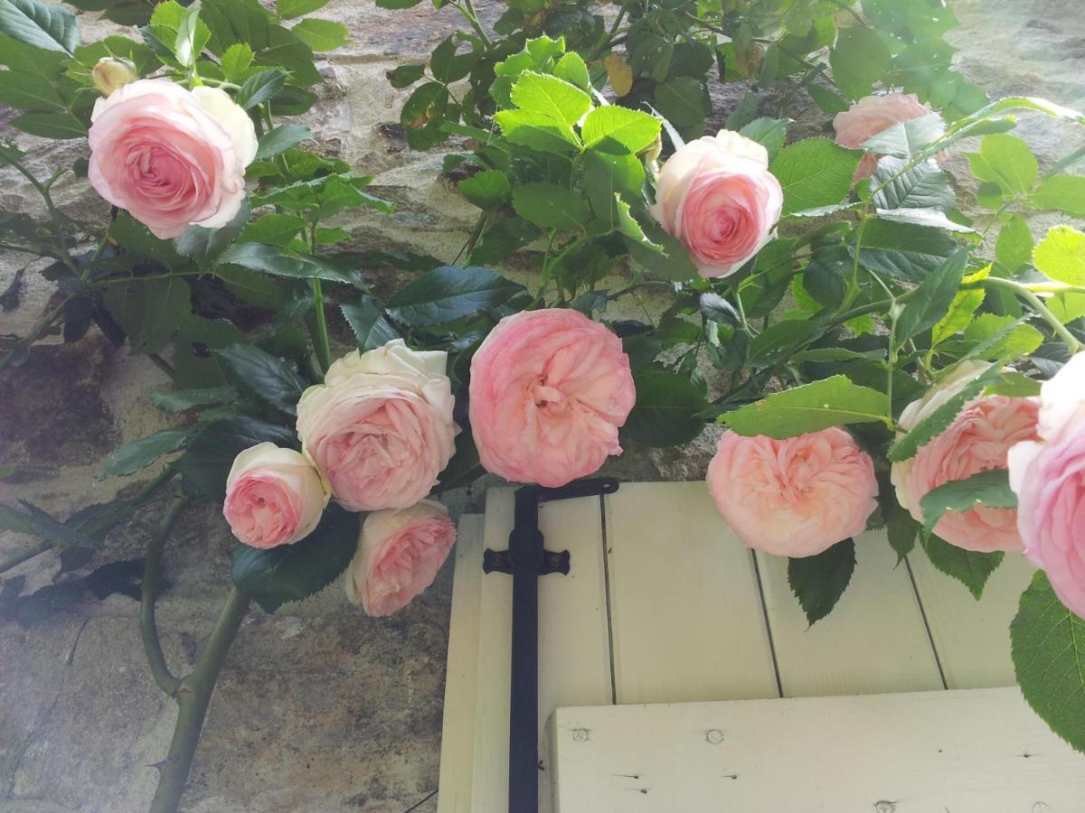 B&B Maison Coralie Sainte-Christine  외부 사진